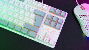 THE G-LAB KEYZ-CAE-TKL-WG Clavier GAMING Membrane RGB TKL Blanc Gris