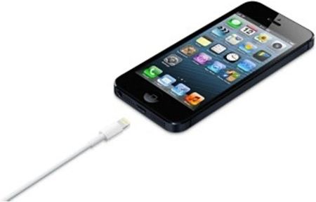 Apple ME291ZM/A Cable CHARGE/SYNC. USB/Lightning 0,5m * Blanc