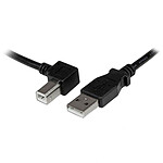 Cable USB2.0 Type-A (M) vers Type-B (M) 2.0M * 532100/532512
