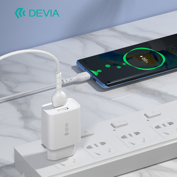 DEVIA Smart Series PD Type-C to Lightning Cable(3A,2M)