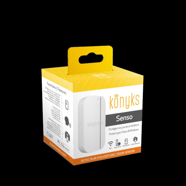 KONYKS CAMINI CARE 2-Caméra INT. motorisée PTZ WiFi Bouton appel