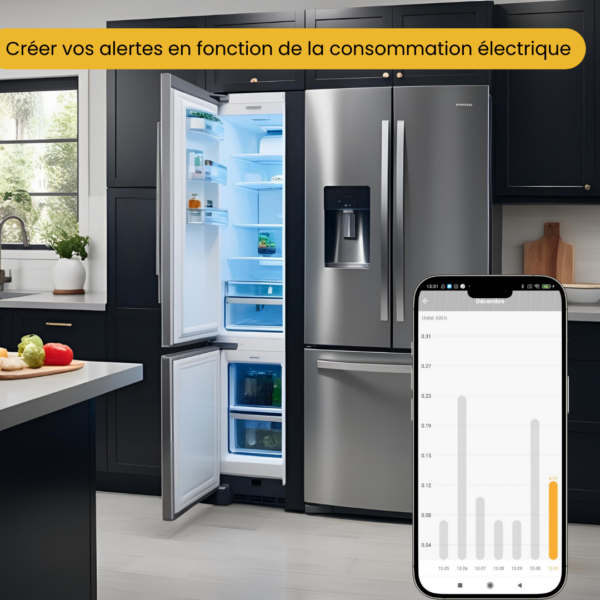 KONYKS PRISKA DUO FR-Double Prise Wi-Fi/BT, format FR, 16A,