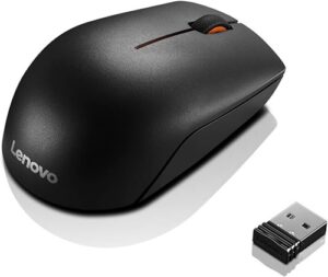 Souris 300 Wireless Compact