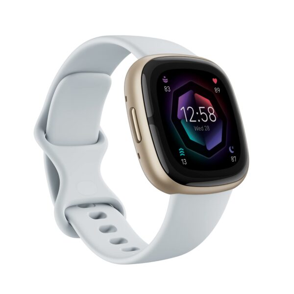 Fitbit Sense 2 Smartwatch shadow grey/aluminium graphit