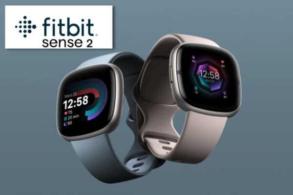 Fitbit Sense 2 Smartwatch shadow grey/aluminium graphit