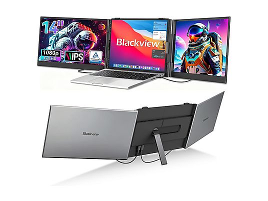IPS 14,0 * BLACKVIEW DCM6 Portable 2xFHD Alu 2xUSB-C 4,5mm * Gris
