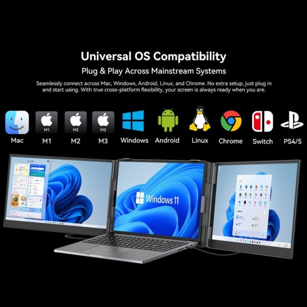 IPS 14,0 * BLACKVIEW DCM6 Portable 2xFHD Alu 2xUSB-C 4,5mm * Gris