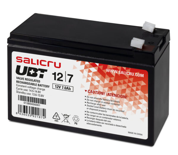 SALICRU BATTERIE AGM pour ONDULEUR UBT 12V / 4,5Ah