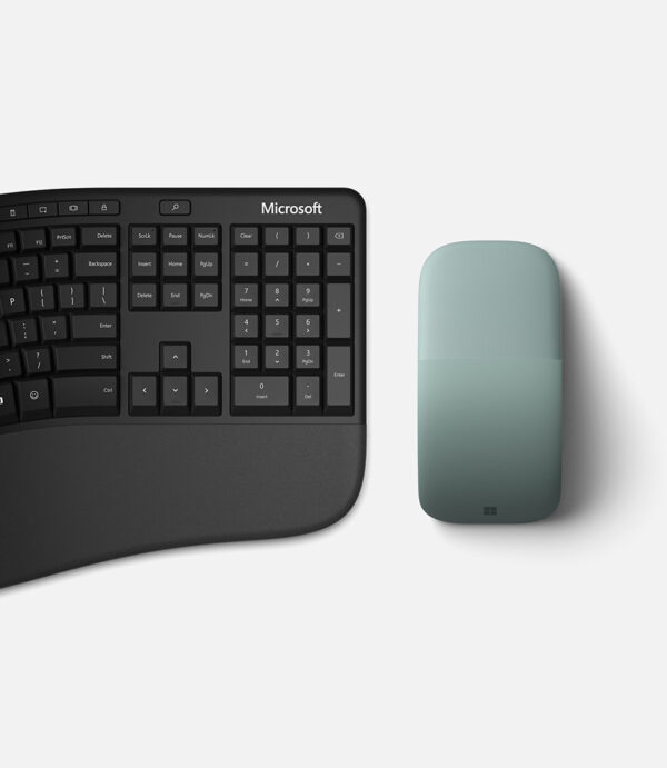 SOURIS MICROSOFT Classic Ergonomic USB * RJG-00002