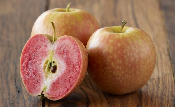 Appple iPad 11 (2025) 11 A16 128Go [MD4Y4TY] WiFi * Pink