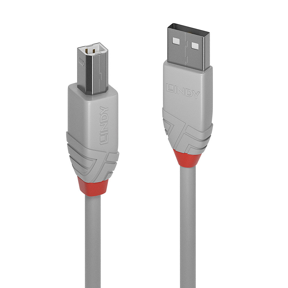 Cable Lindy Anthra Line USB-A/B 2.0 1m M/M (Gris/Rouge) - 36682